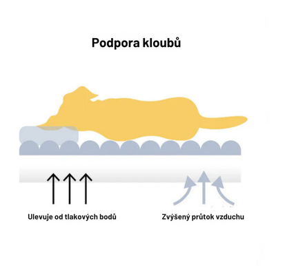 Měkká pohovka-postel pro psy